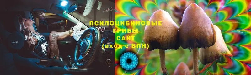 ссылка на мегу зеркало  Вятские Поляны  Галлюциногенные грибы Magic Shrooms 